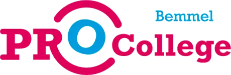 logo-pro-bemmel